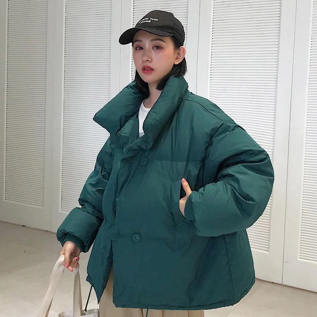 Korean Style 2019 Winter Jacket Women Stand Collar Solid Black White Female Down Coat Loose Oversized Womens Short Parka - souvikdeysample